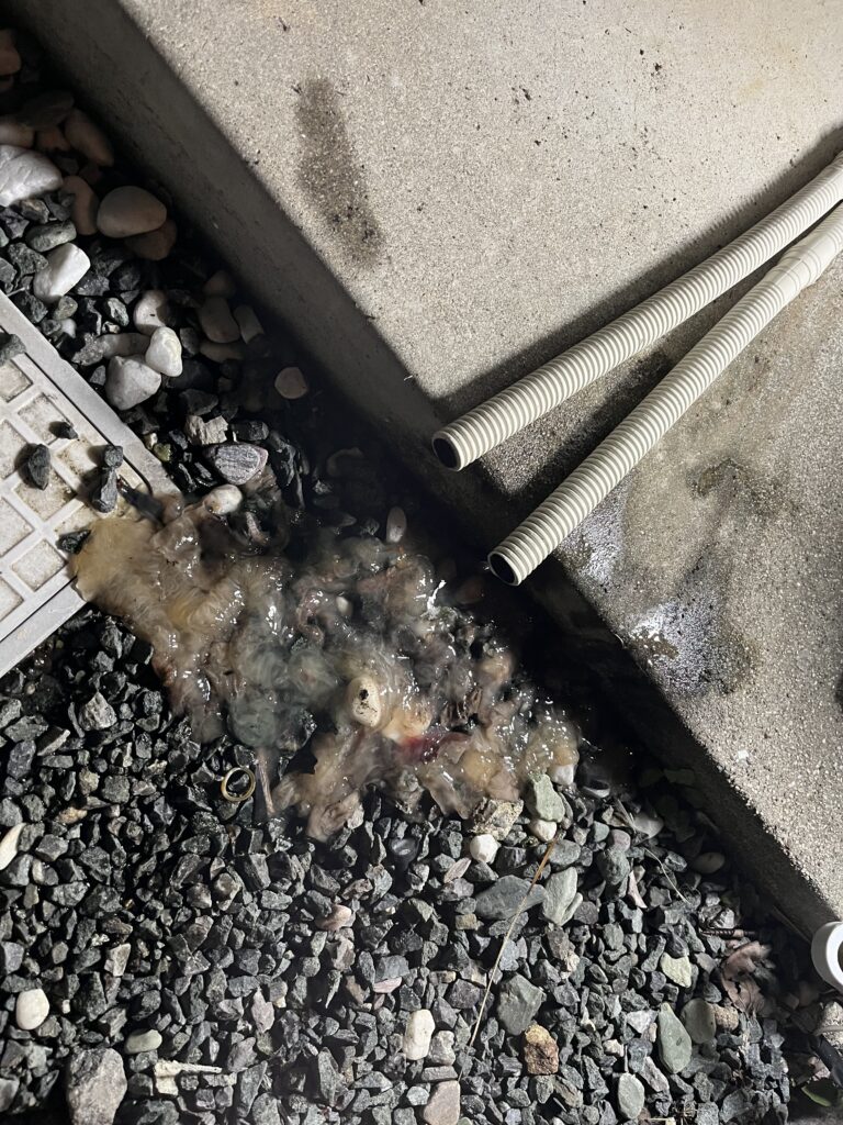 益城町のエアコン水漏れ修理事例｜ドレン詰まり除去｜Air Rise